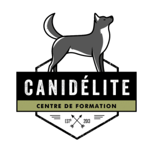 déclinaison du logo canidélite : Canidélite formation