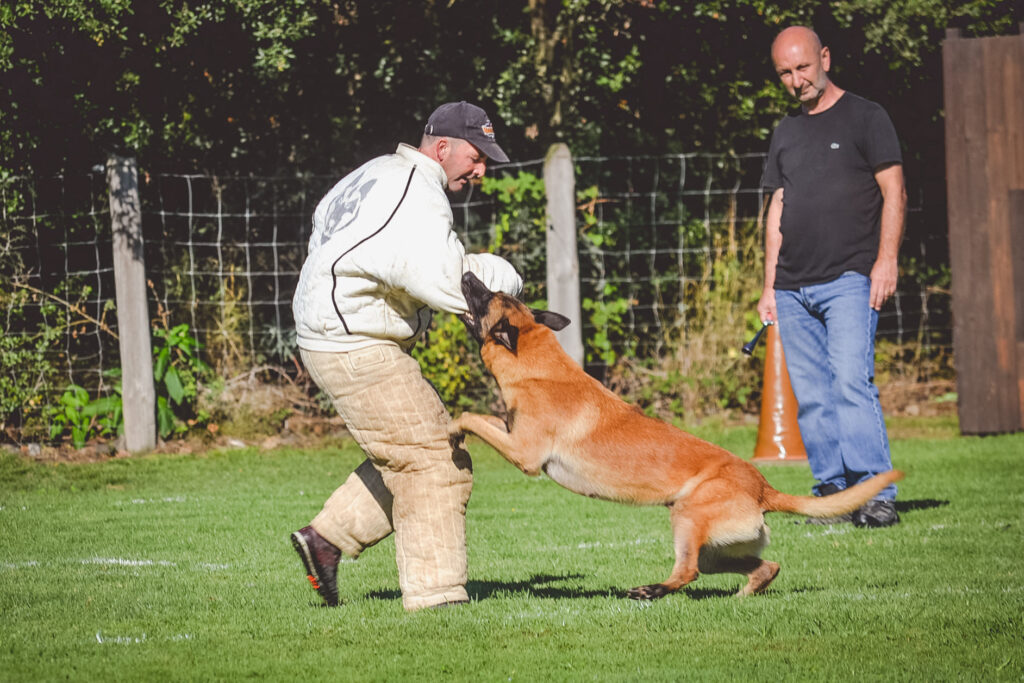 concours sportif de mordant