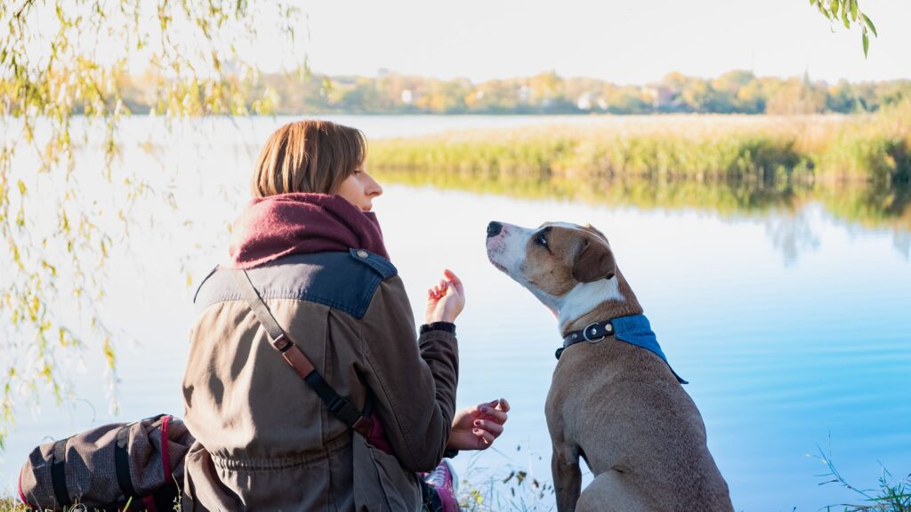 Devenir un bon propriétaire pour son chien