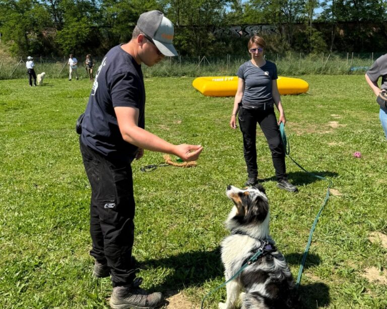 cours pratique pendant la formation d'éducateur canin de Canidélite
