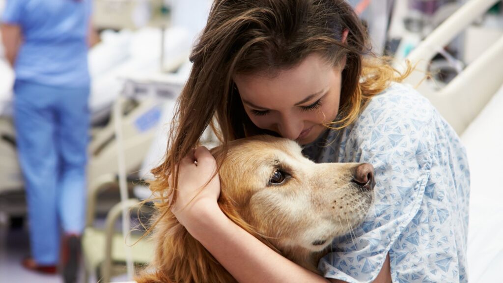 médiation aninmale en milieu hospitalier