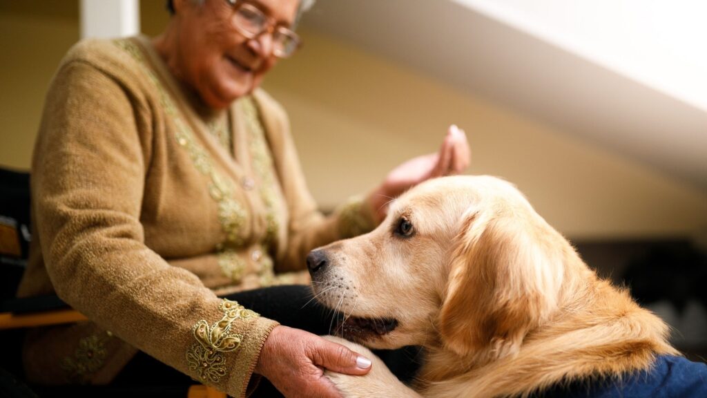 thérapie par la médiation animale en EPHAD