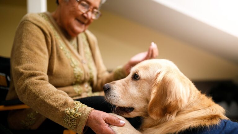 thérapie par la médiation animale en EPHAD