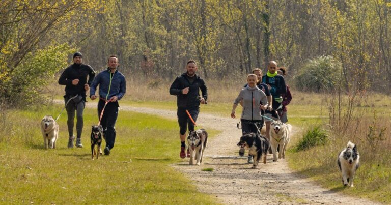 Sortie de groupe en canicross