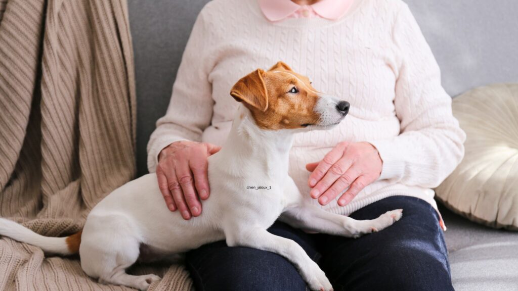 Chien sur les genoux d'une personne agées