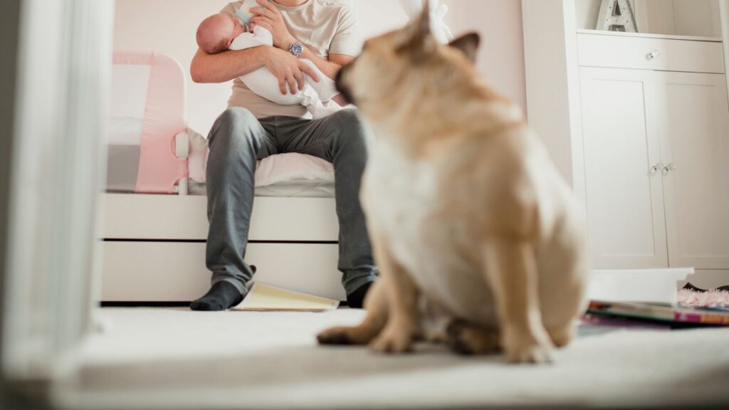 Chien qui regarde son maitre tenir un bébé